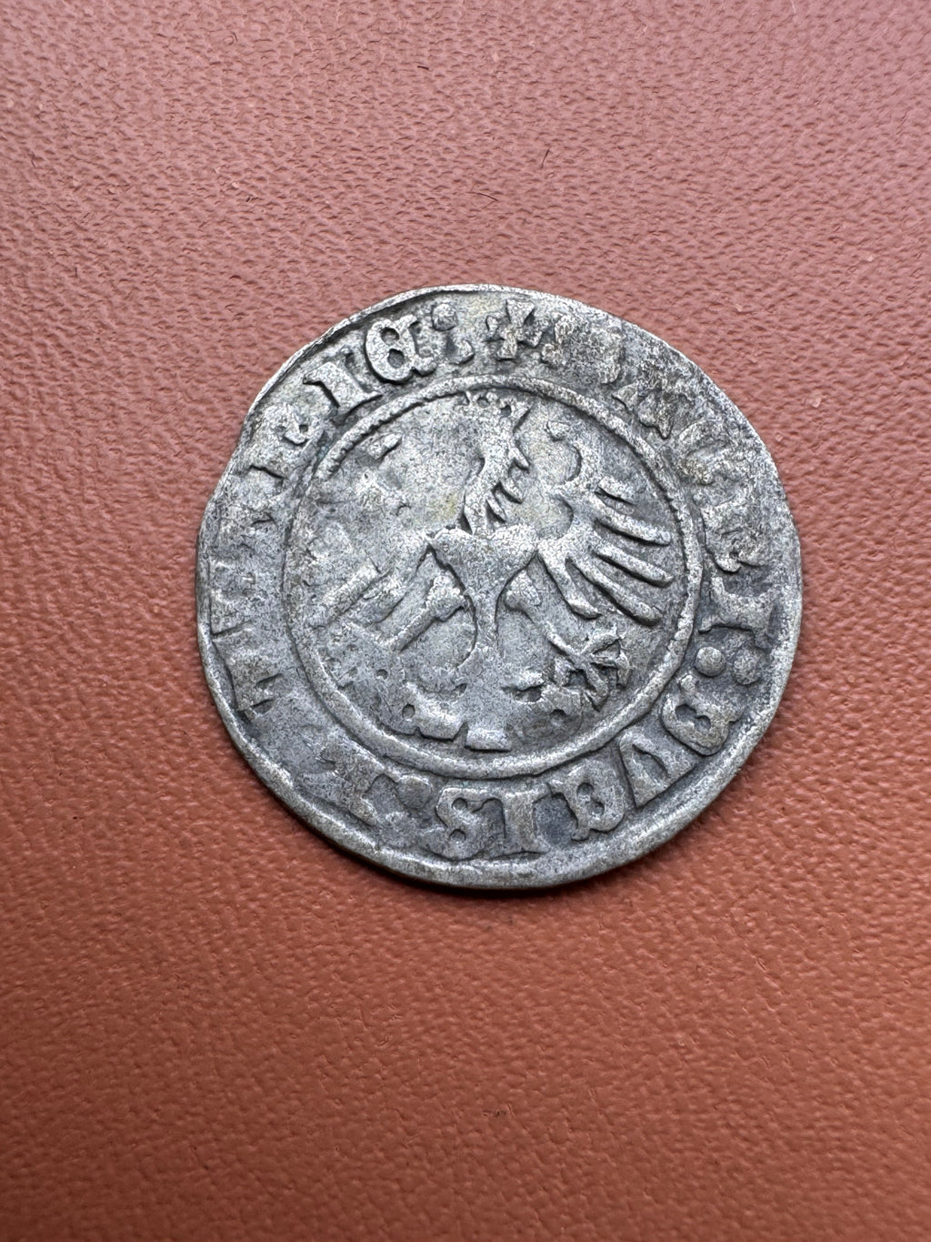 Zygmunt I Stary półgrosz 1513 Wilno – rewers (Orłeł)